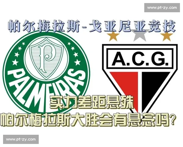 帕梅拉斯与戈竞技对决解析：实力碰撞与胜负关键因素全面剖析